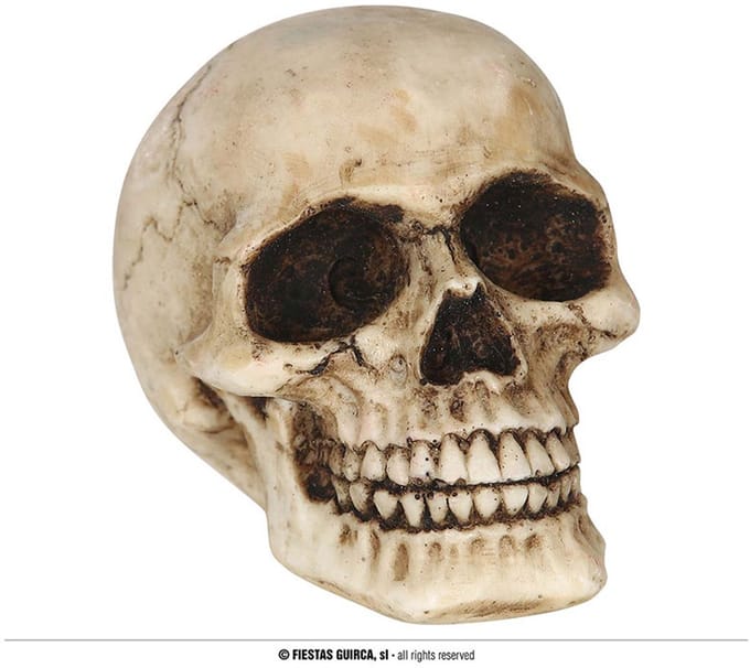 Fiestas Guirca - Skelet hoofd (8 cm) - Halloween - Halloween Decoratie - Halloween Versiering