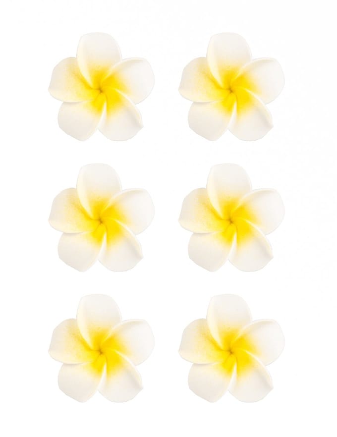 HOBI - 6 witte kunstmatige monoi bloemen 5 cm van zelfklevend schuim