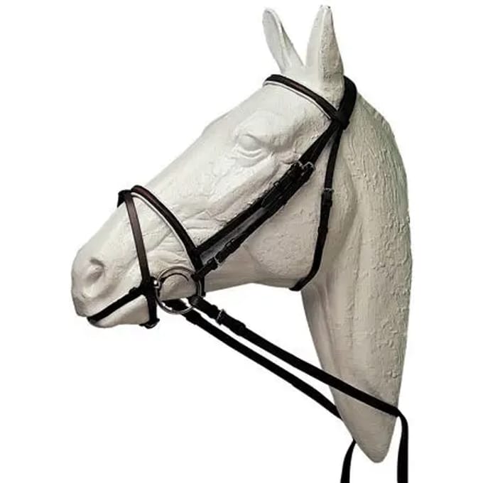 Lange voor paard gesloten en glad Hispano Hipica Inglesa