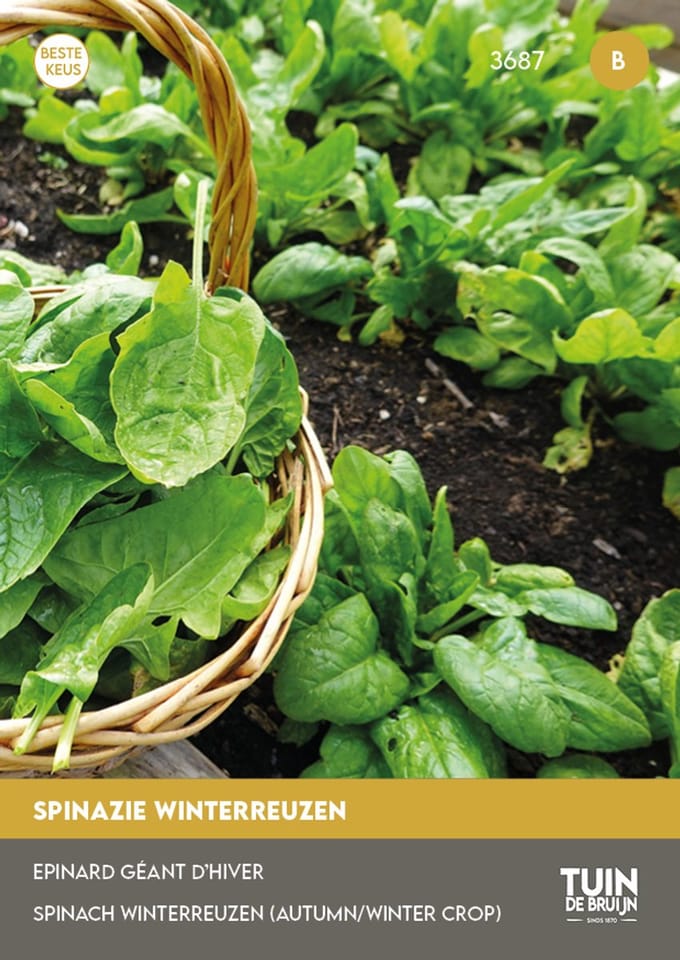 Tuin de Bruijn Winterreuzen – Spinaziezaden – Winterspinazie – 15 g