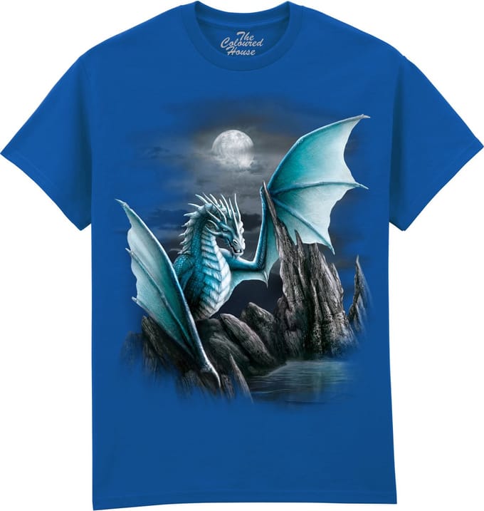 Draak Cameron Dragon The Coloured House T-shirt S