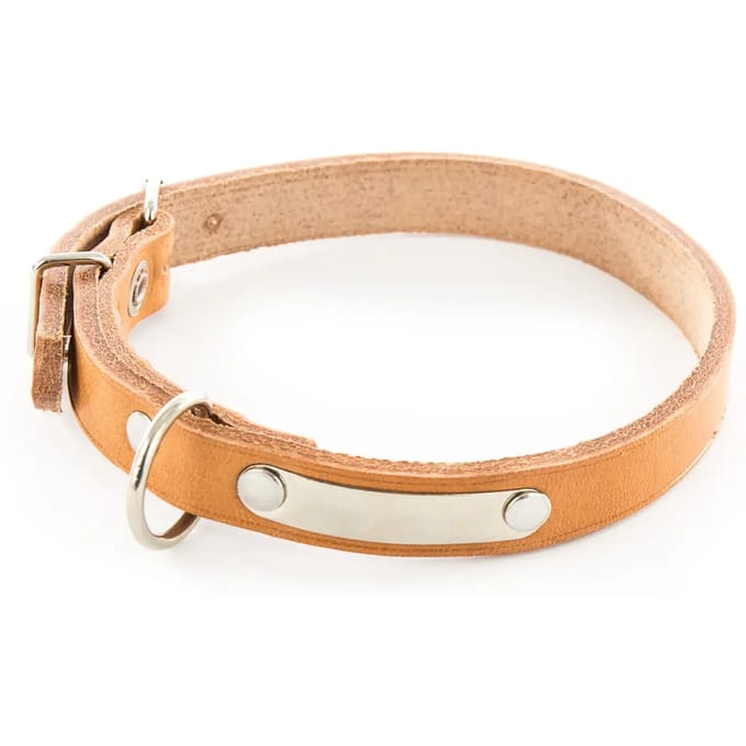 Hondenhalsband van leer met plaat Martin Sellier