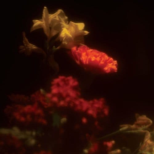 Grégoire Gerstmans - Hypnagogie (CD)
