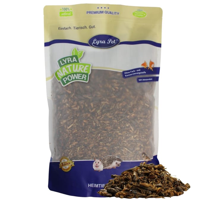 1 kg Lyra Pet® krekels gedroogd