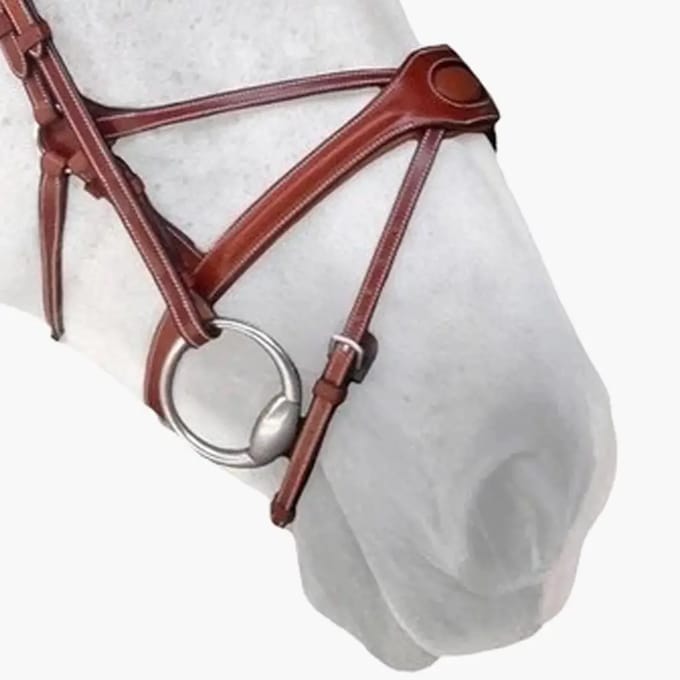 Paardenneusriem Silver Crown Spider