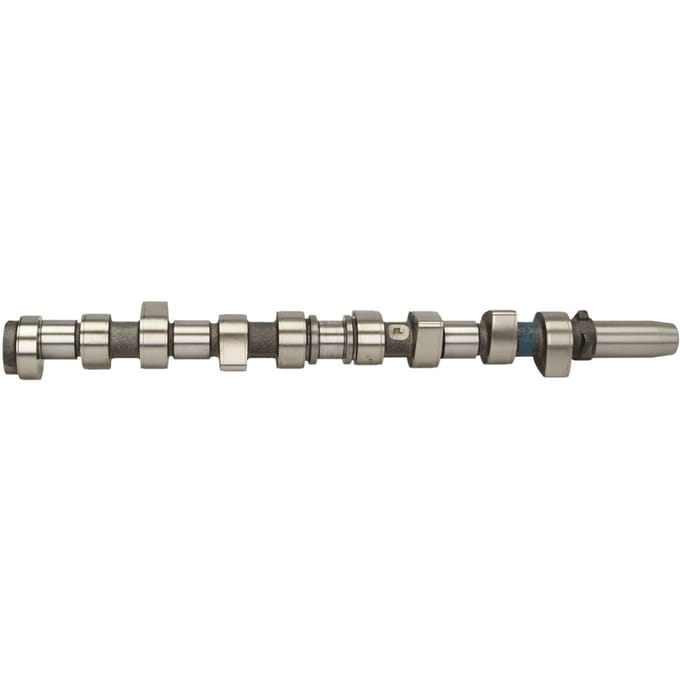 Nokkenas  AMC 669851