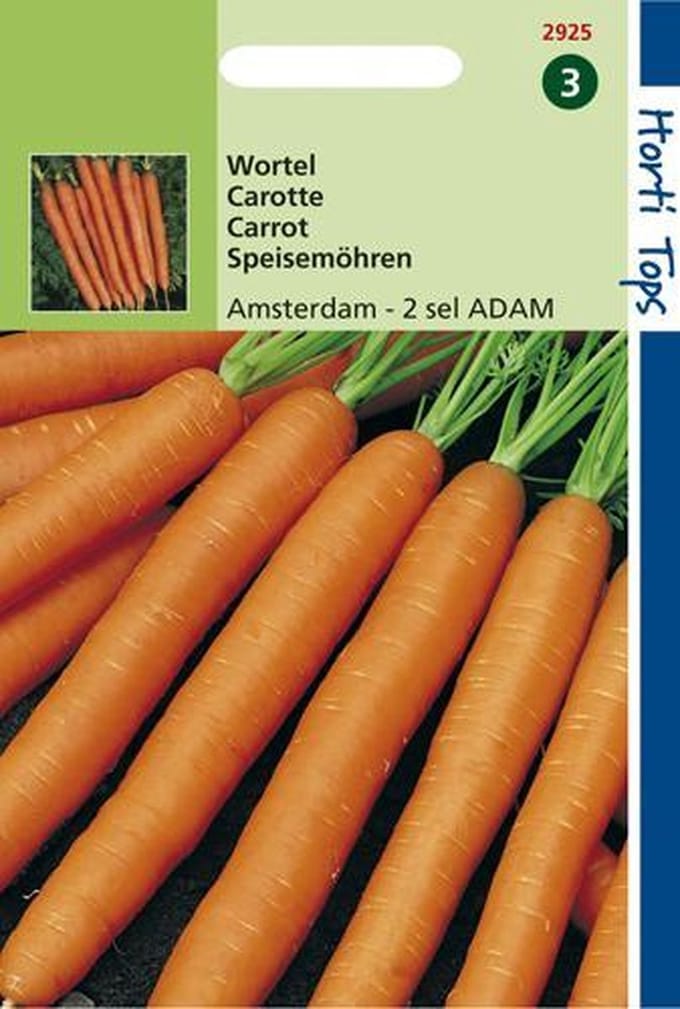 Hortitops Zaden - Wortelen Amsterdamse Bak 2 - Adam