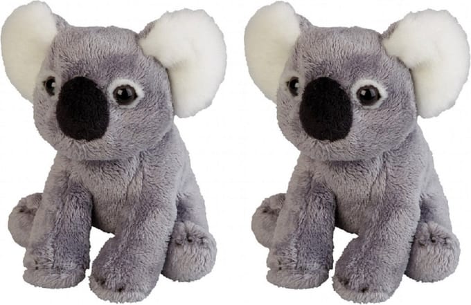 Set van 2x stuks pluche koala beer dieren knuffel 15 cm - Knuffelbeesten