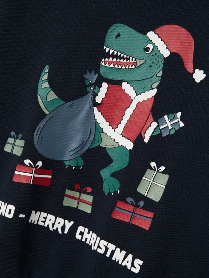 NAME IT NMMVISMAS LS NREG SWEAT BRU Jongens Trui - Maat 86