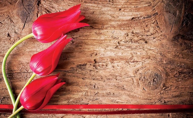 Poster | Rood | 104 x 70,5 cm