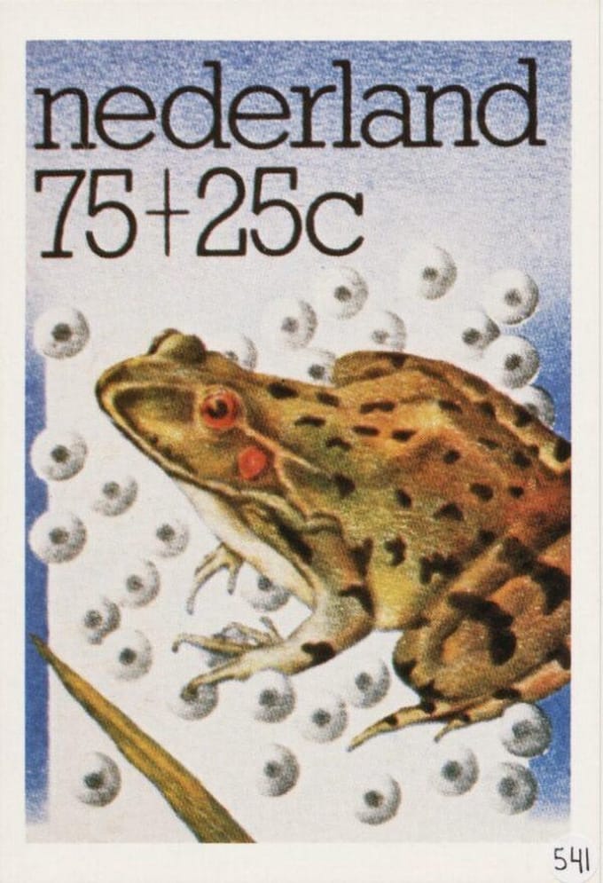 Briefkaart met afbeelding Groene kikker postzegel