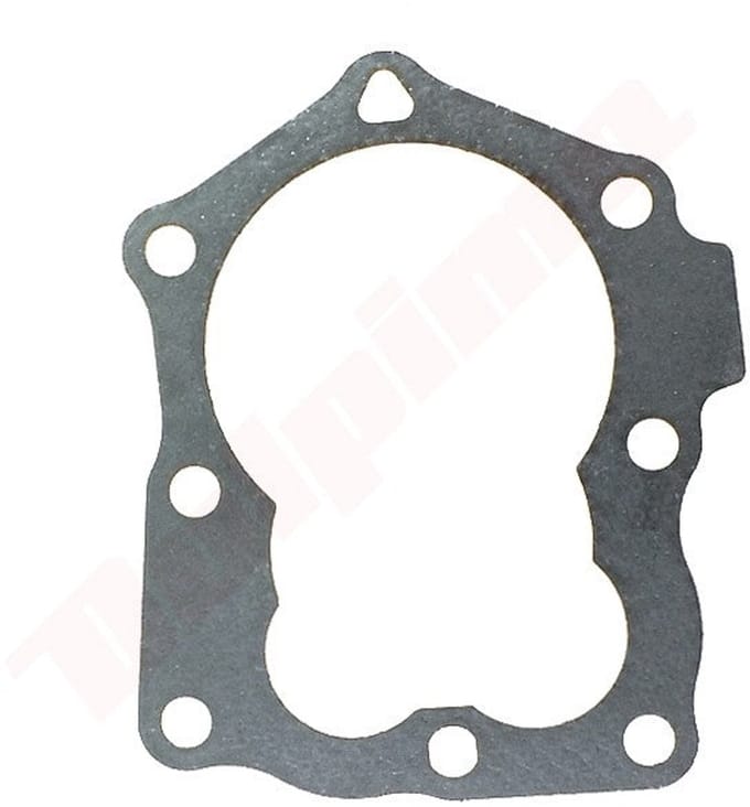 Pakkingset (10 stuks) passend op B&S ( 799875 )