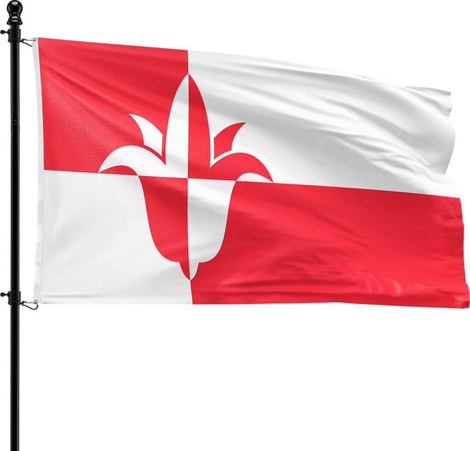 VlagDirect - Bernheze vlag - Gemeente Bernheze vlag - 90 x 150 cm.