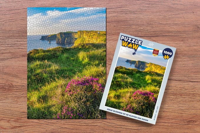 Puzzel Ierse bloemen op de Kliffen van Moher - Legpuzzel - Puzzel 1000 stukjes volwassenen