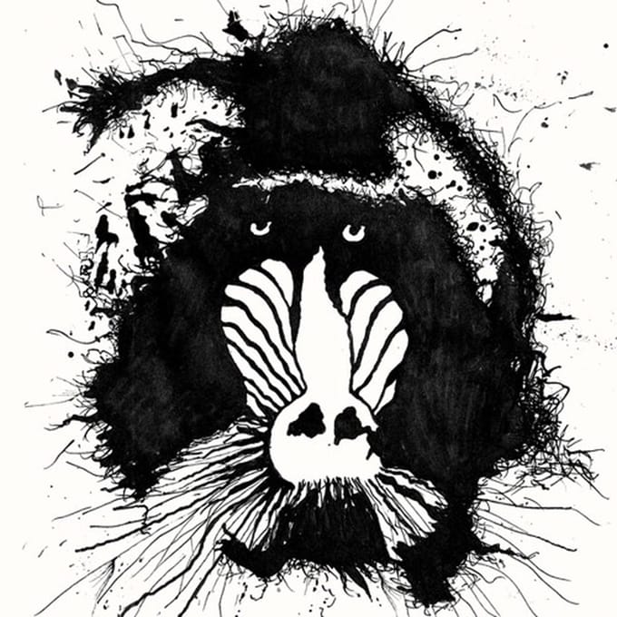 Feral Ohms - Feral Ohms (LP)