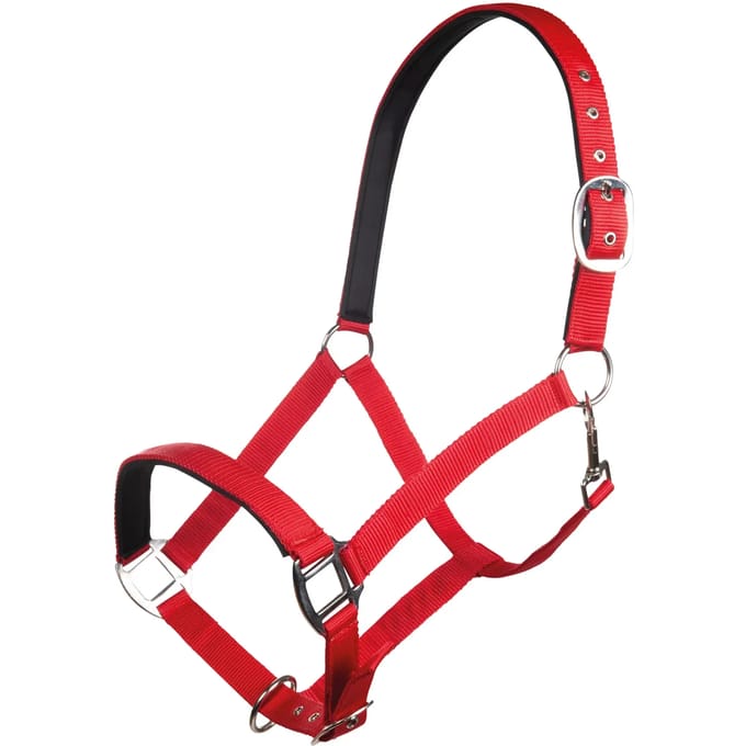 Nylon halster voor paard met zachte voering HKM Charming