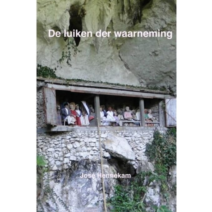 De Luiken Der Waarneming - José Hennekam