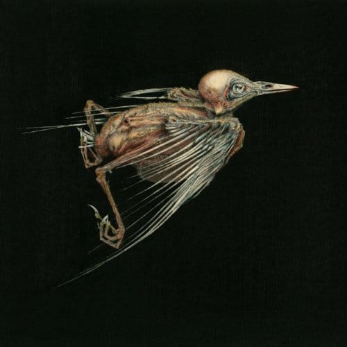 Jenny Hval & Susanna - Meshes Of Voice (CD)