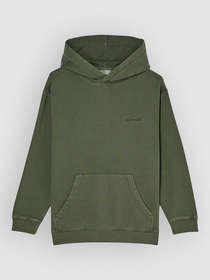 Element Lowcase Pigment Hoodie Groen 14 Years Jongen