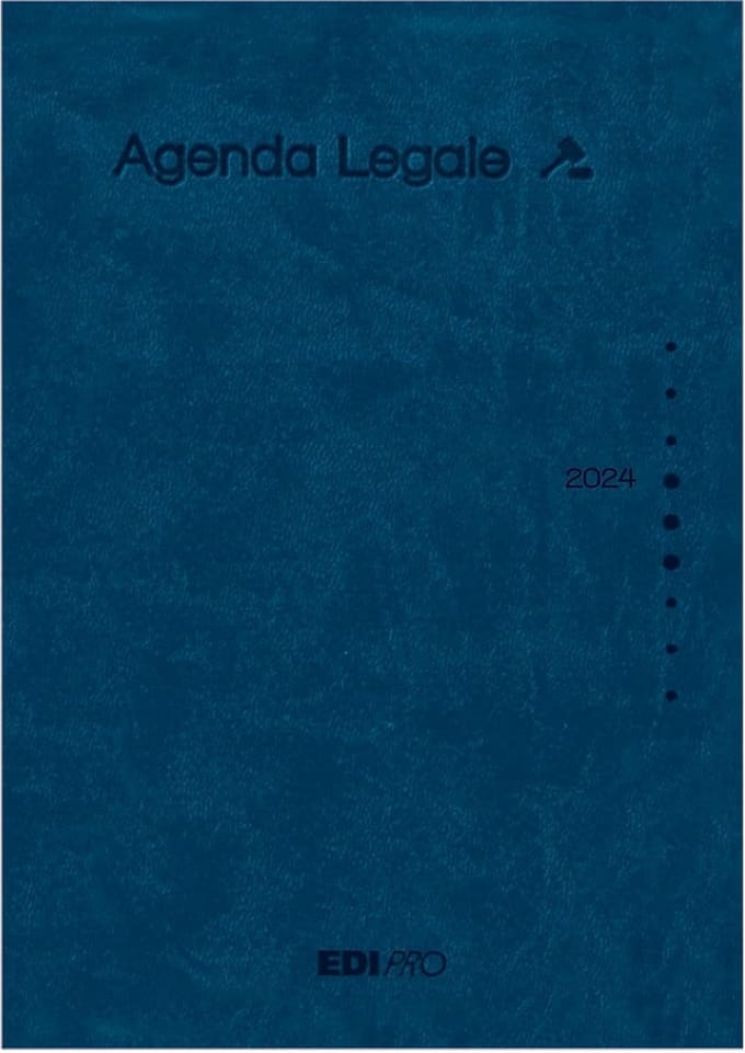Grote Blauwe Jaarplanner en Dagplanner (17 x 24 cm) - Overzichtelijk plannen