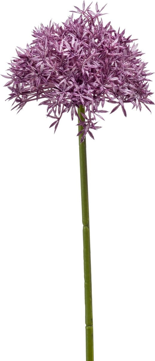 Emerald - Kunstbloem Allium 62cm paars - Kunstplant voor binnen