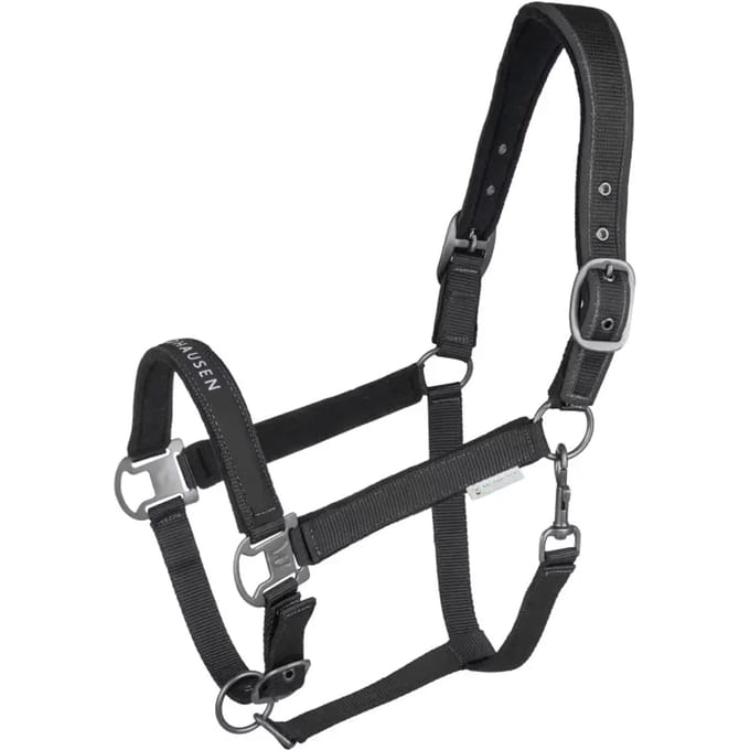 Halster voor paarden Waldhausen Atheltic