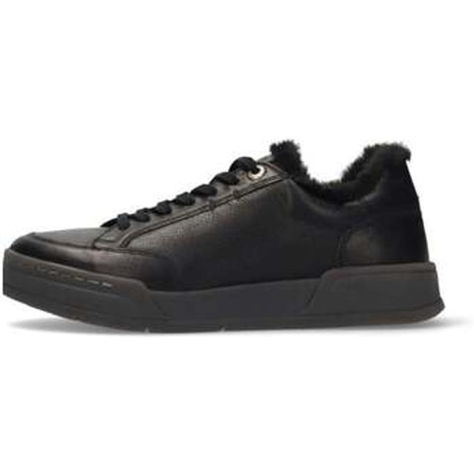 Lage Sneakers Salamander -