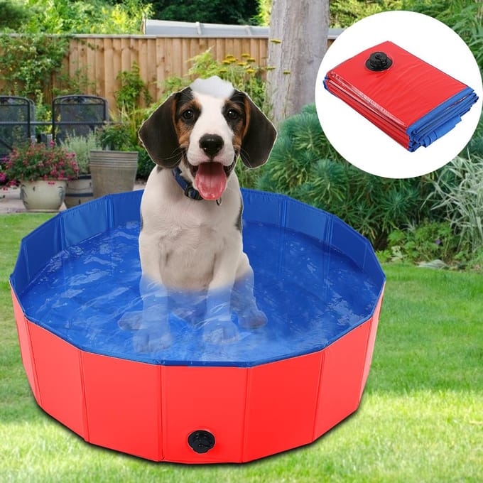 Piscine pliable pour chiens et chats, baignoire pour animaux de compagnie, rouge, taille L Large rouge
