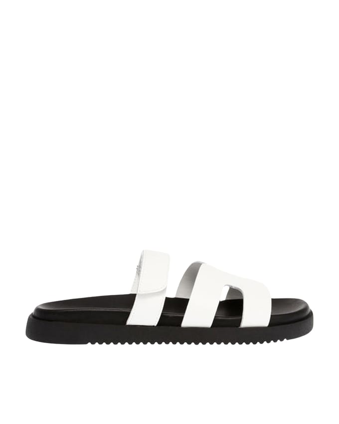 Vrouwenslippers Steve Madden Missile