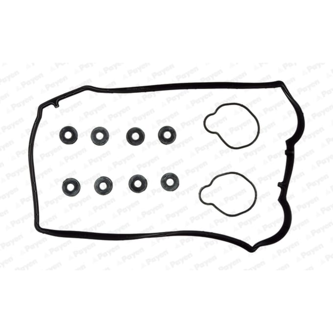 Pakkingset, klepdeksel-PAYEN HM5254 links