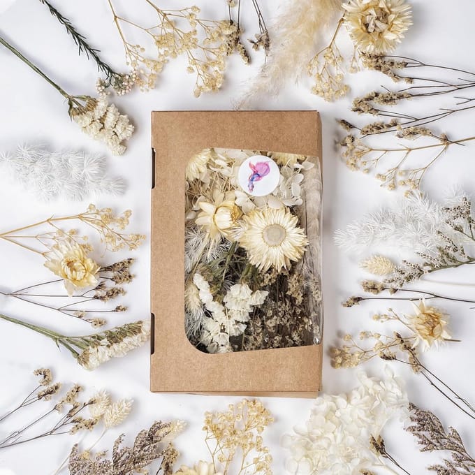 Gedroogde Bloemen Wit en Beige voor Knutselen en Decoratie