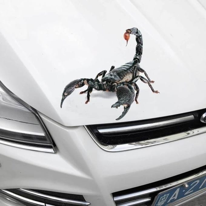 Styling Mooie Cool Spider 3D Autostickers Cartoon Creatieve Persoonlijkheid Decoratie Decals D zwart
