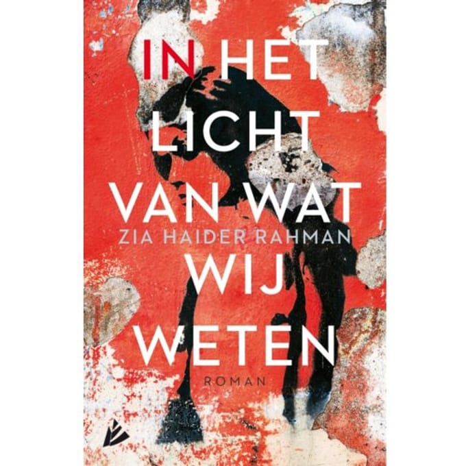 In Het Licht Van Wat Wij Weten - Zia Haider Rahman