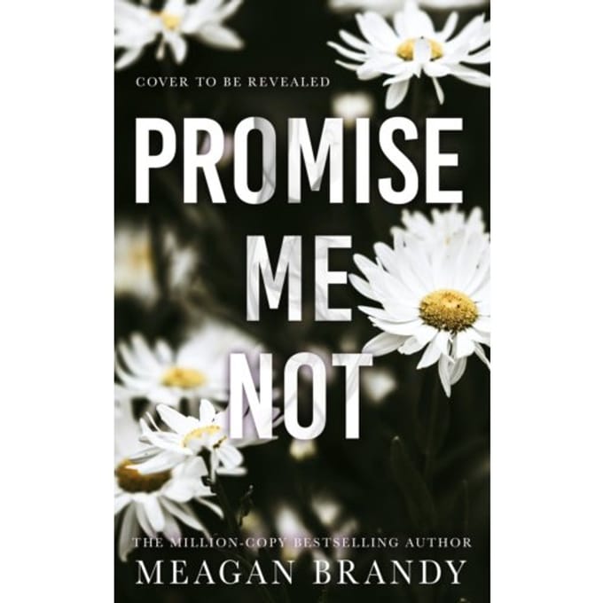 Promise Me Not - Meagan Brandy