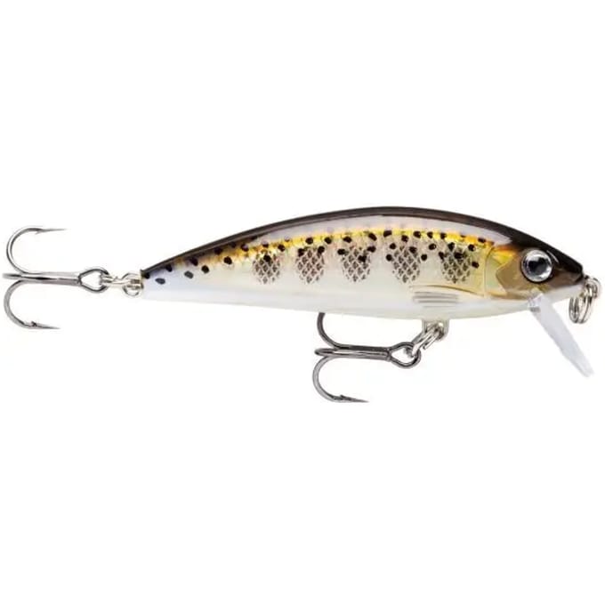 Lure Rapala x-rap® countdown® 7cm