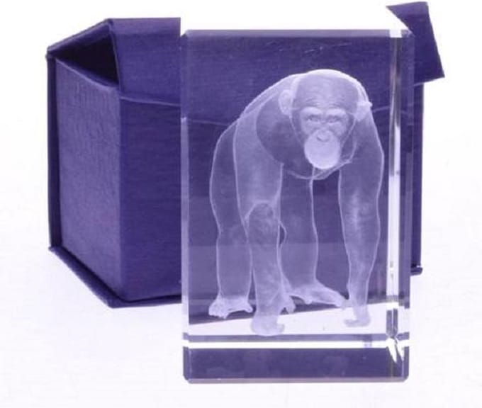 Glasblokje Chimpansee 3D – Lasergravure in Glas – Cadeauverpakking 8 cm