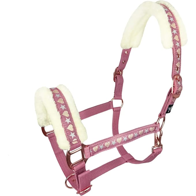 Bont halster voor paard York Cyntia