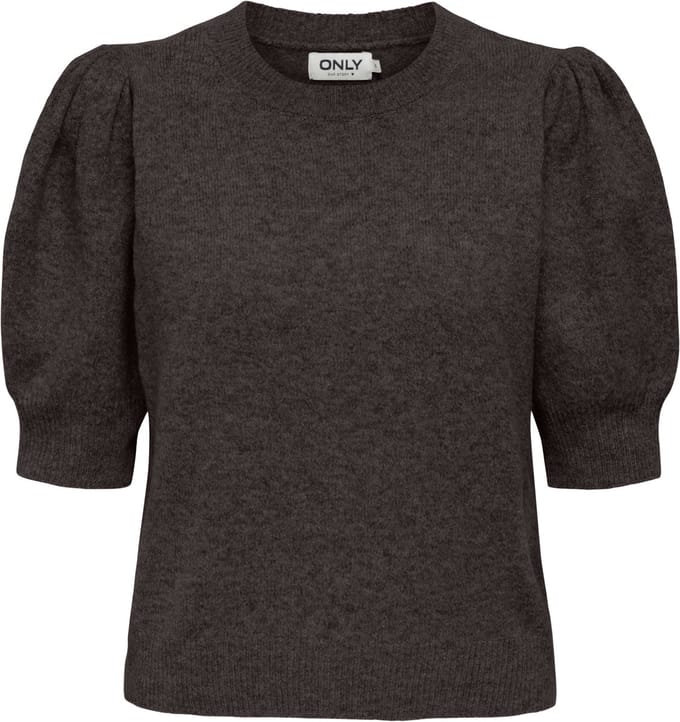 ONLY - ONLRICA 2/4 PULLOVER KNT Dames Trui