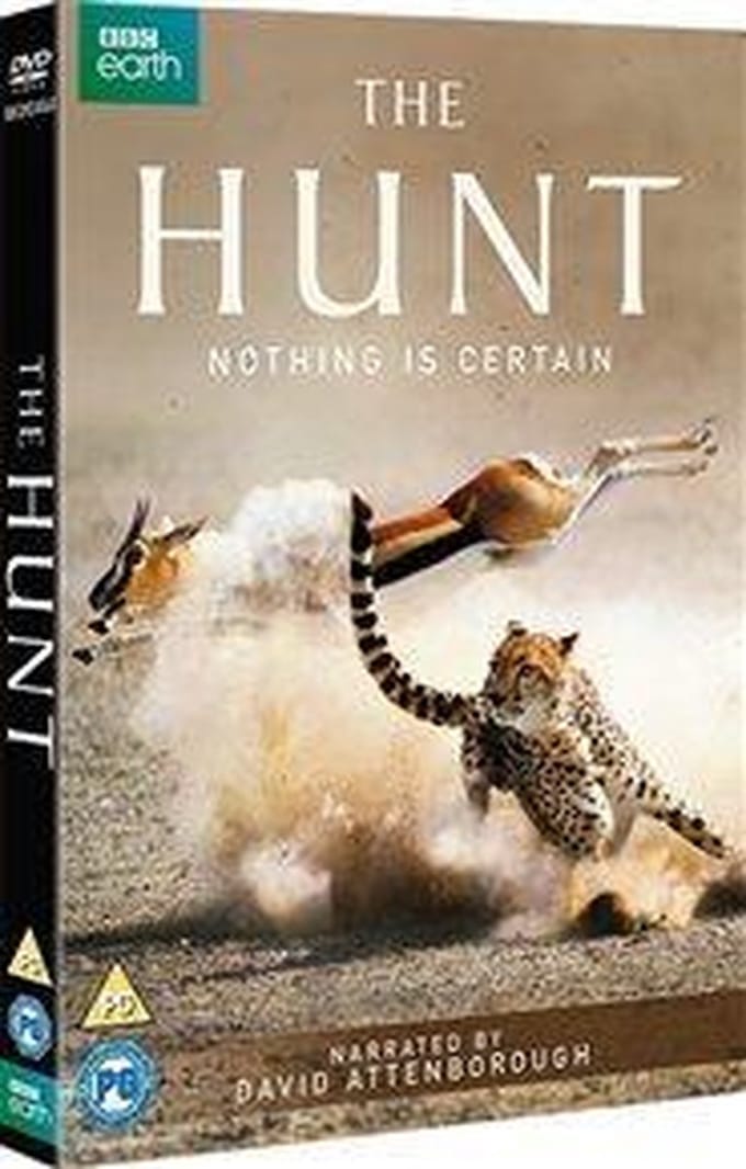 Hunt