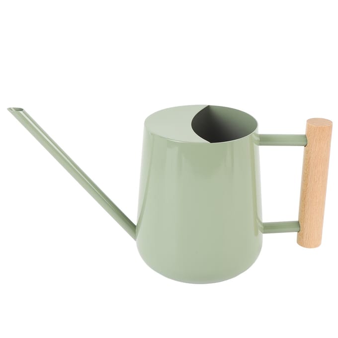 Gieter Roestvrijstalen Gieter met Houten Handvat voor Succulenten Plant Type 2 white