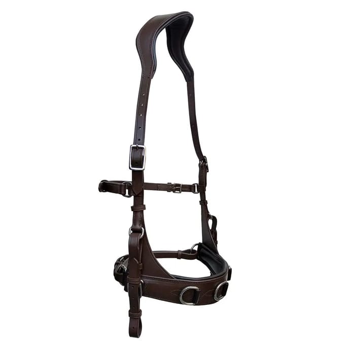 Paardenbox Zaldi AZB 822
