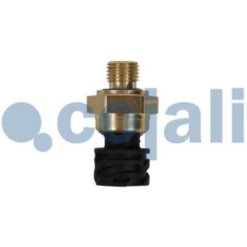 Sensor, inlaatspruitstukdruk COJALI 2262032
