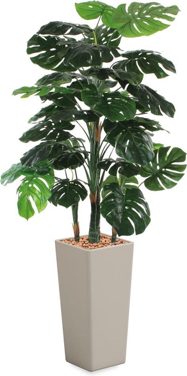 HTT - Kunstplant Monstera in Clou vierkant taupe H195 cm