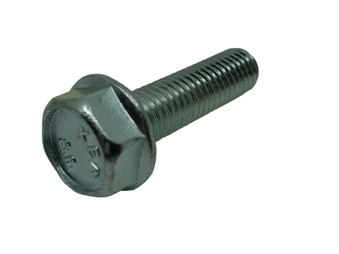 Screw