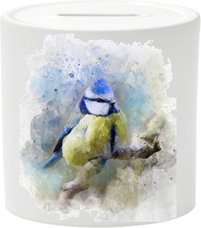 Spaarpot - Aquarel Pimpelmees