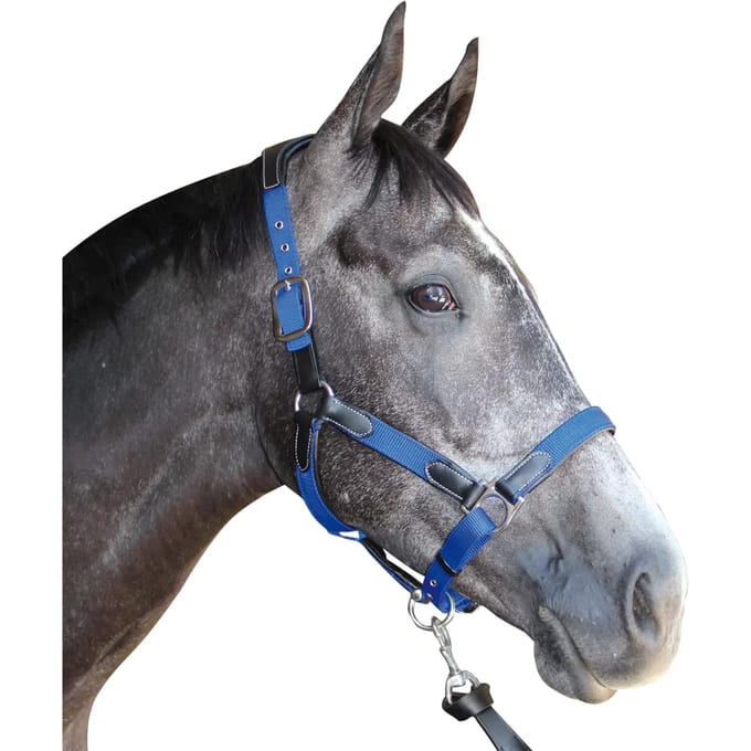 Nylon/leren halster Flags&Cup