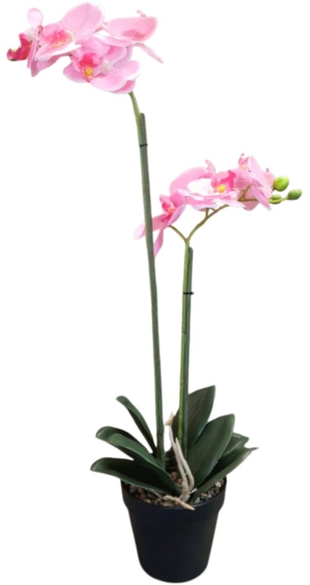 Mica Decorations kunstplant Phalaenopsis Orchidee licht roze H67xD25cm