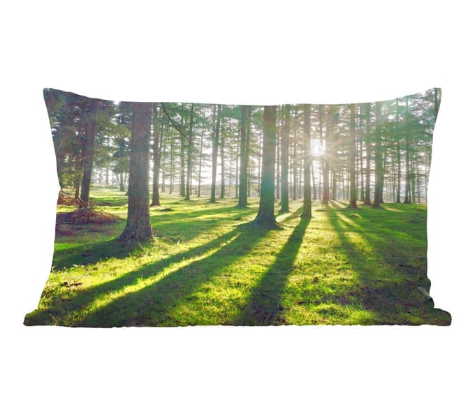 Sierkussens - Kussentjes Woonkamer - 60x40 cm - Bomen - Natuur - Bos