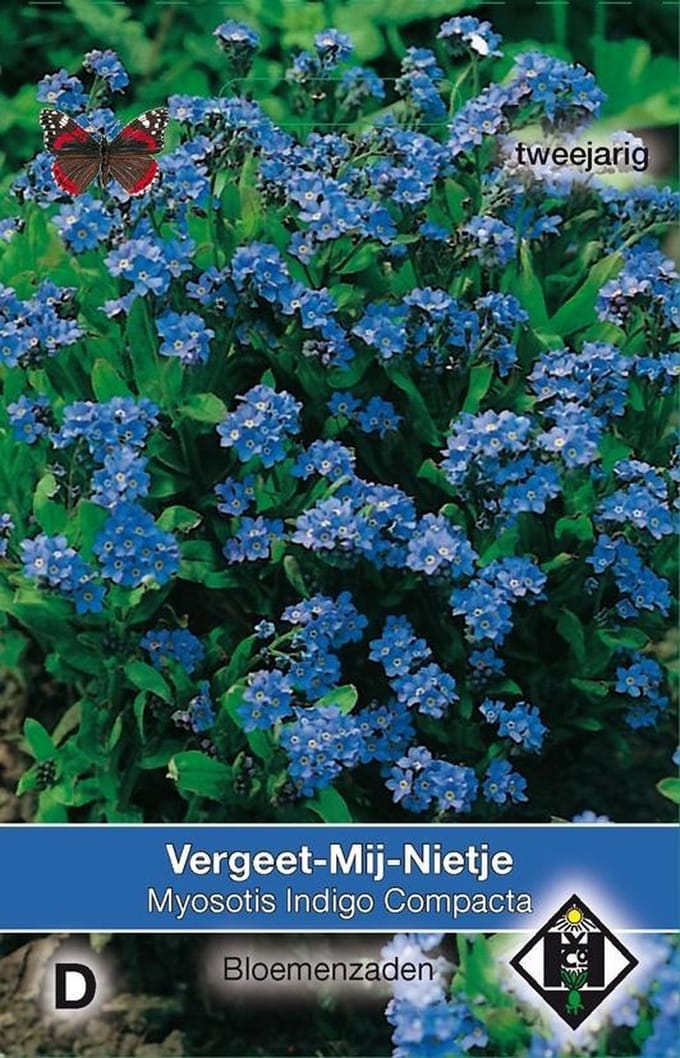 Van Hemert & Co - Vergeet- Mij-Nietje Indigo Compacta (Myosotis)