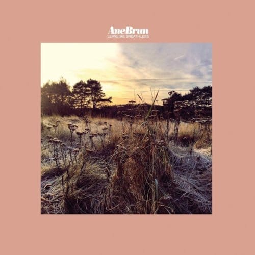 Leave Me Breathless - Ane Brun